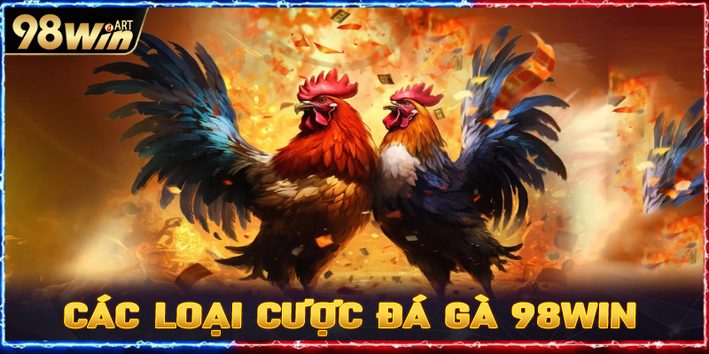 Các loại cược phổ biến trong đá gà trực tuyến 98win 